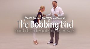 The Bobbing Bird Error